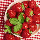 Tiflair Strawberry Picnic Lunch Napkins 3 ply